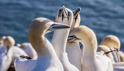 中场铁三角支撑巴黎大胜,欧洲冠军4-0闲庭信步击败西甲硬骨头