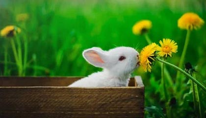 8000万欧甩卖!巴萨疯了吗,阿森纳切尔西抢人战暗藏生死局